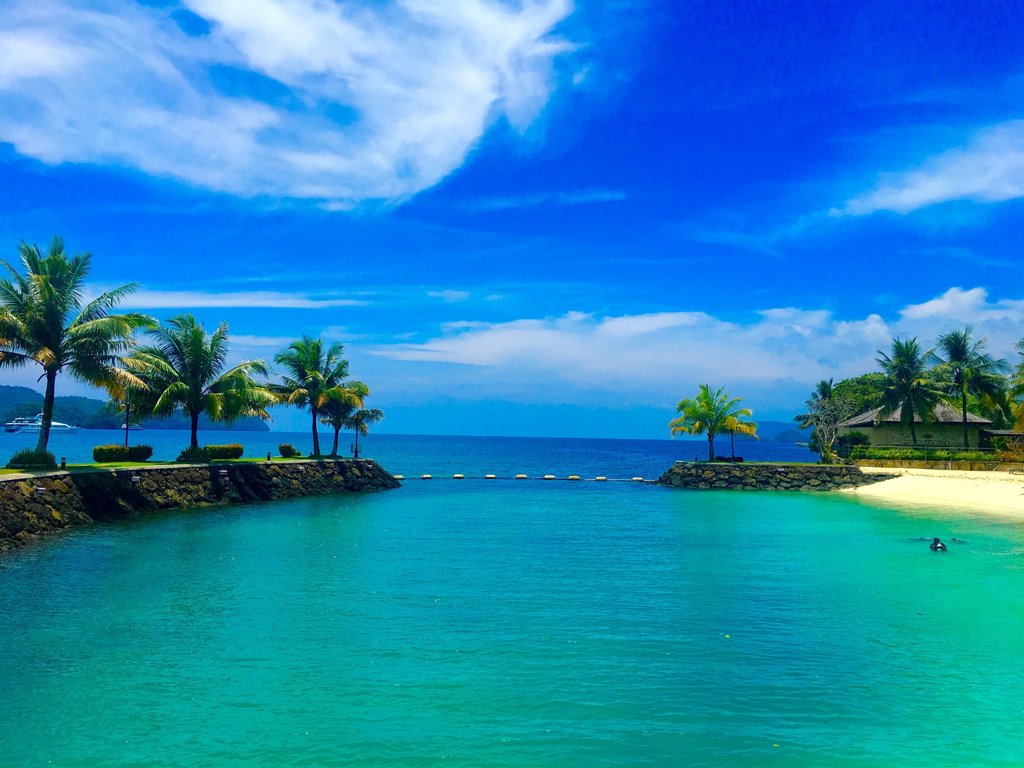 PHN_publichealthnurse|note