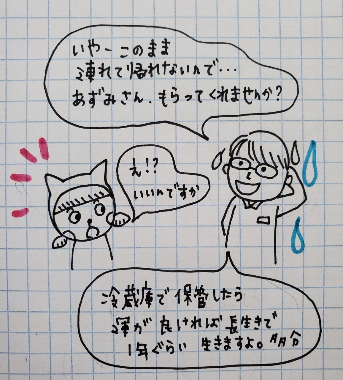 Azumi の絵日記 家の冷蔵庫にクリオネがいた話 あずみの のぞき穴 Note