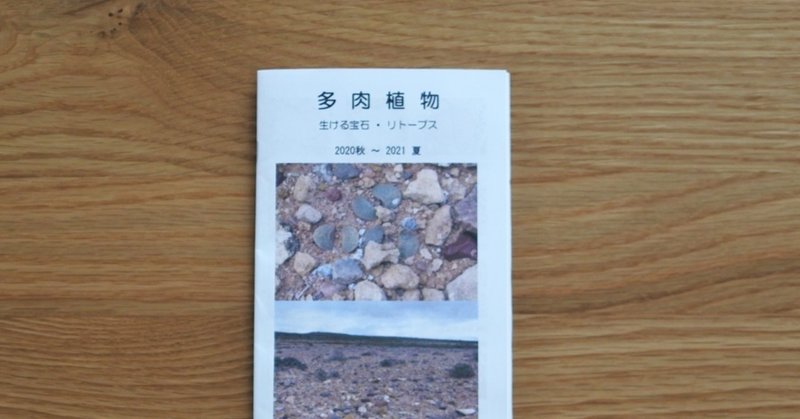 群仙園さんはリトープスも人柄も素晴らしかった話 まぁ Note