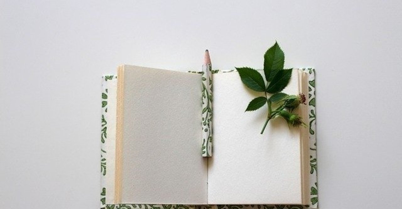 アスリートの常識をピアノ弾きも 練習ノートのすすめ 大人のためのクラシックピアノ By Yoko Ina Note アスリートの常識をピアノ弾きも 練習ノートのすすめ 大人のためのクラシックピアノ By Yoko Ina Note