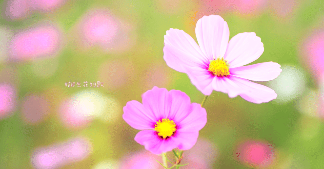 10月22日 誕生花は桃色秋桜 誕生花短歌 御子柴 流歌 Note 10月22日 誕生花は桃色秋桜 誕生花短歌 御子柴 流歌 Note