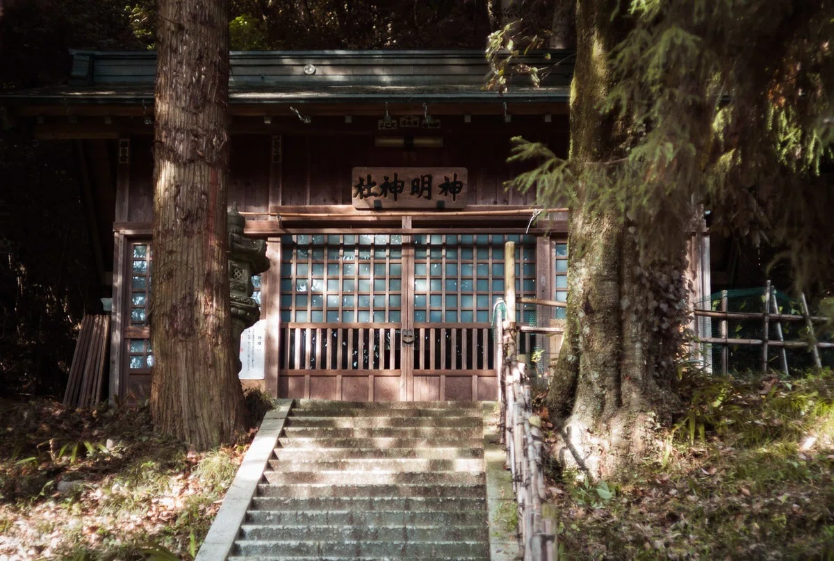 画像6