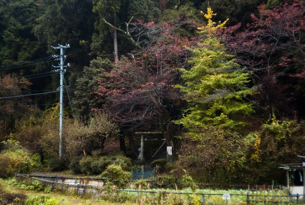 画像16