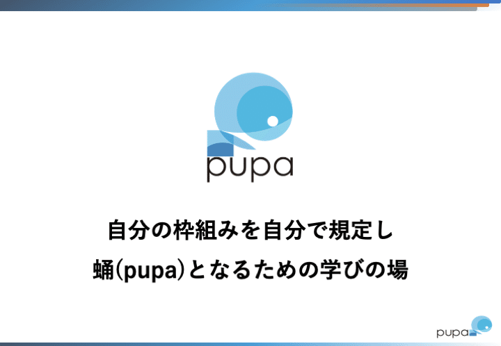 Pupa_説明資料