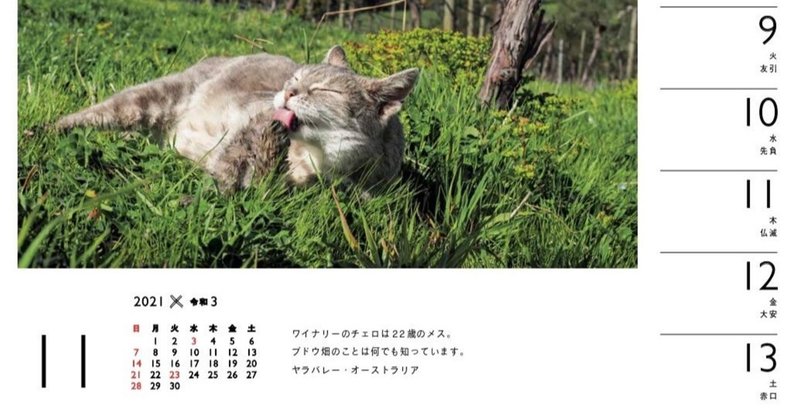 毎年恒例の 岩合光昭 ねこ 週めくり 卓上 カレンダー を今年も購入してみました 酒ねこ ワクワク人生 Note
