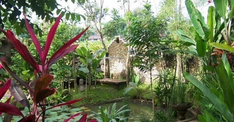 バリ島での庭作りは石が決め手。