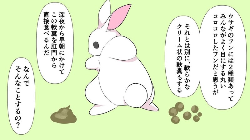 性欲強すぎ 常に発情して交尾しまくるウサギの生態 雑学漫画 雑学王子トリビアーン Note