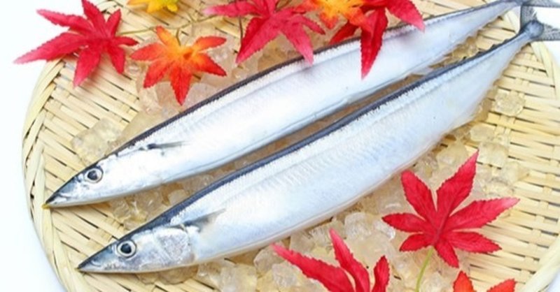 魚は低糖質！よく食べる鮭・まぐろ・かつお・ぶりなどの糖質は？