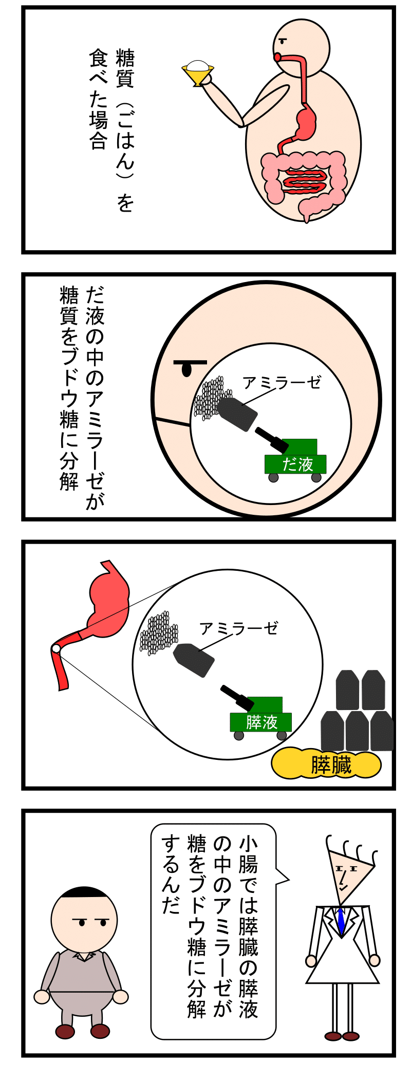 第25話 消化器2 糖を分解するのはアミラーゼ ずんだーれ Note