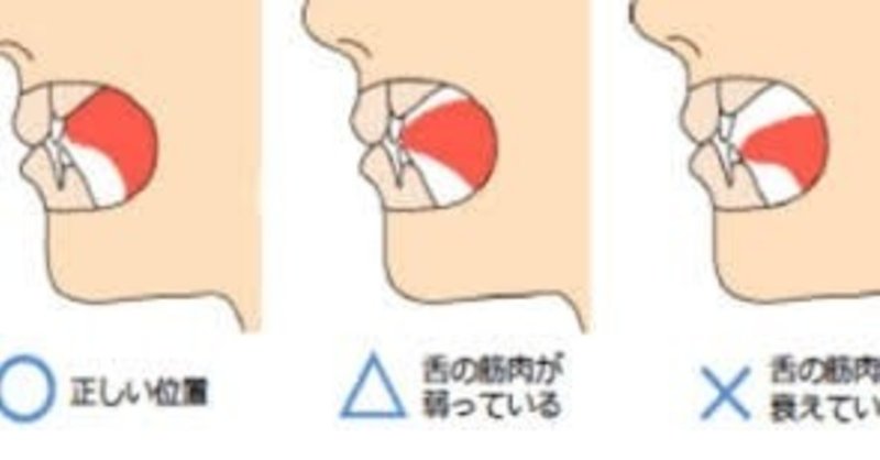 舌のストレッチ の新着タグ記事一覧 Note つくる つながる とどける