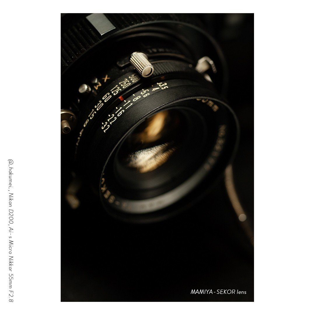 MAMIYA PRESS SUPER 23はじめの一本|薄明 MAMIYA PRESS SUPER 23はじめの一本|薄明