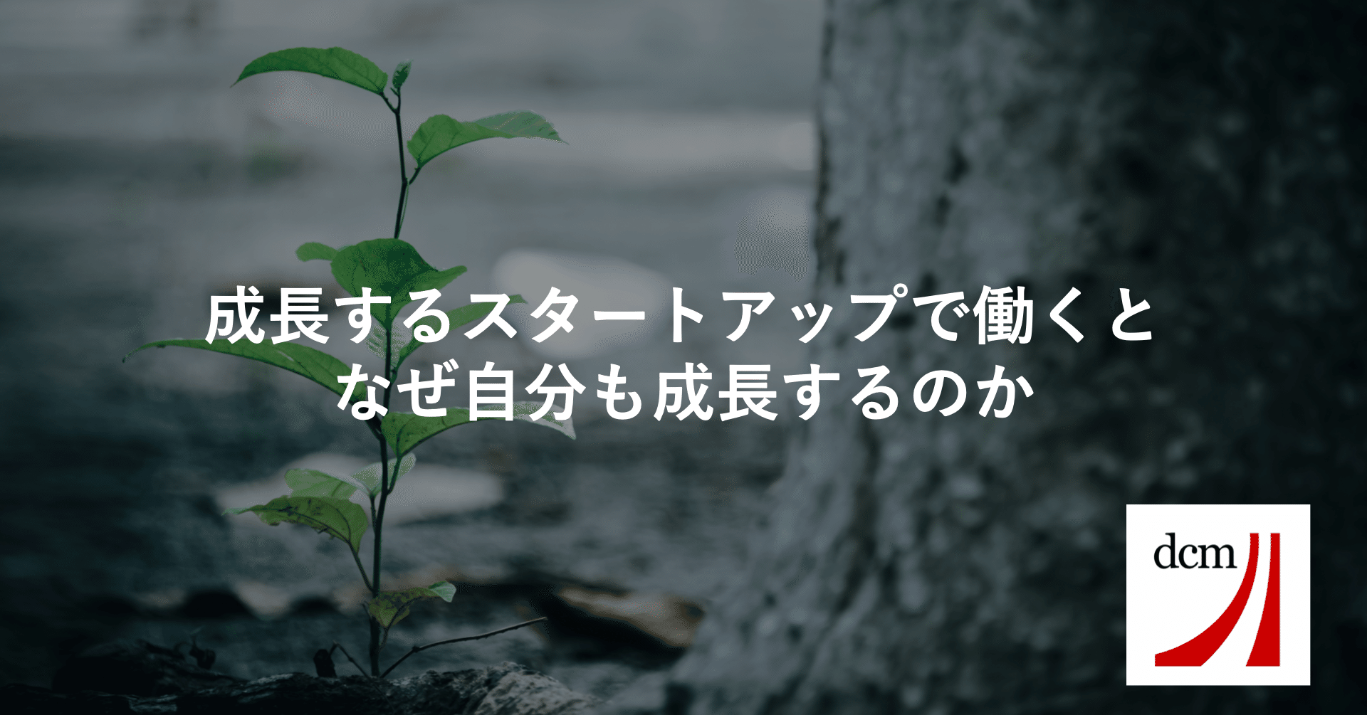 成長するスタートアップで働くとなぜ自分も成長するのか 原健一郎 Kenichiro Hara Note