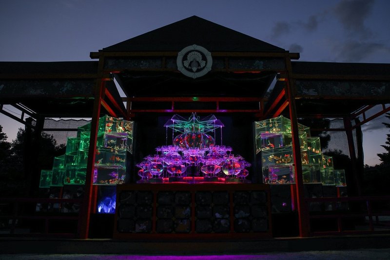 京都 アートアクアリウム城 でトリエンナーレな金魚の舞を撮影 ヒコノート Note