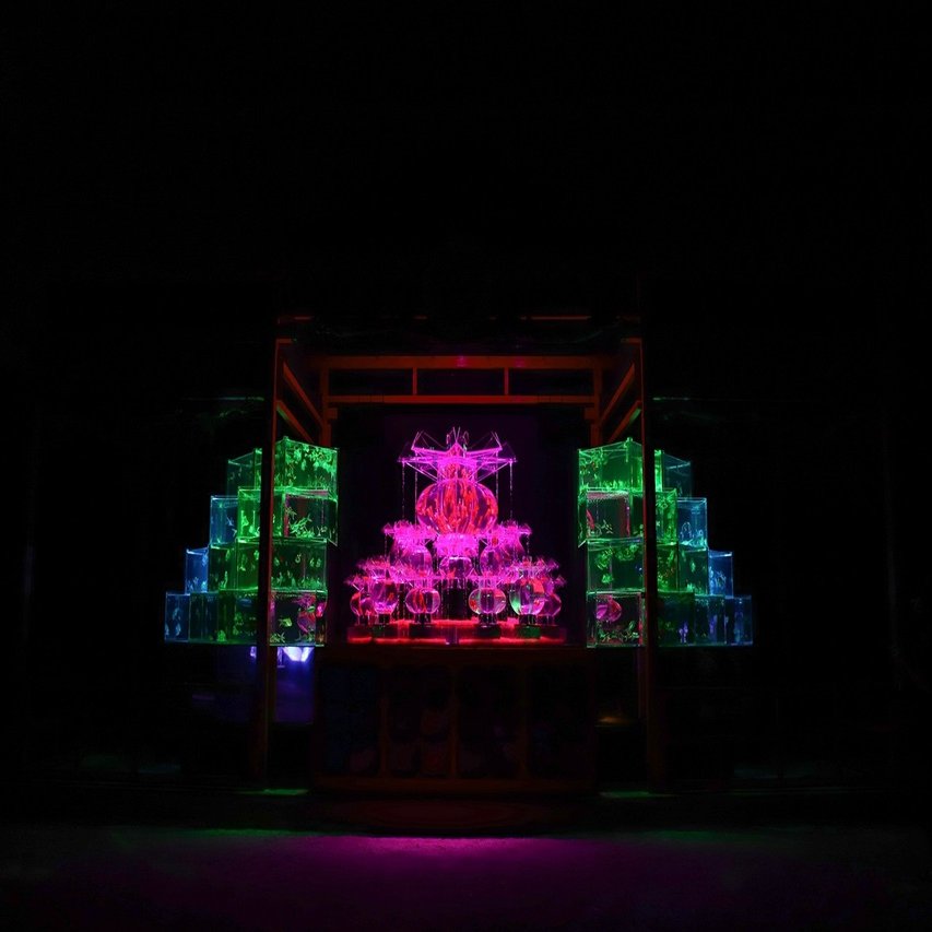 京都 アートアクアリウム城 でトリエンナーレな金魚の舞を撮影 ヒコノート Note