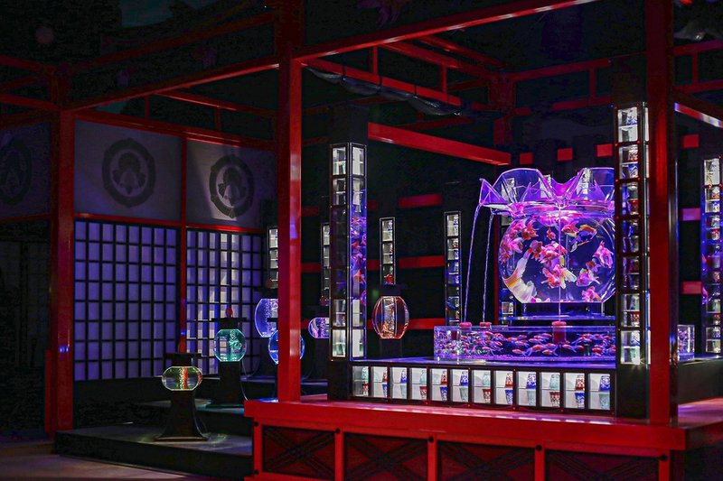 京都 アートアクアリウム城 でトリエンナーレな金魚の舞を撮影 ヒコノート Note 京都 アートアクアリウム城 でトリエンナーレな金魚の舞を撮影 ヒコノート Note