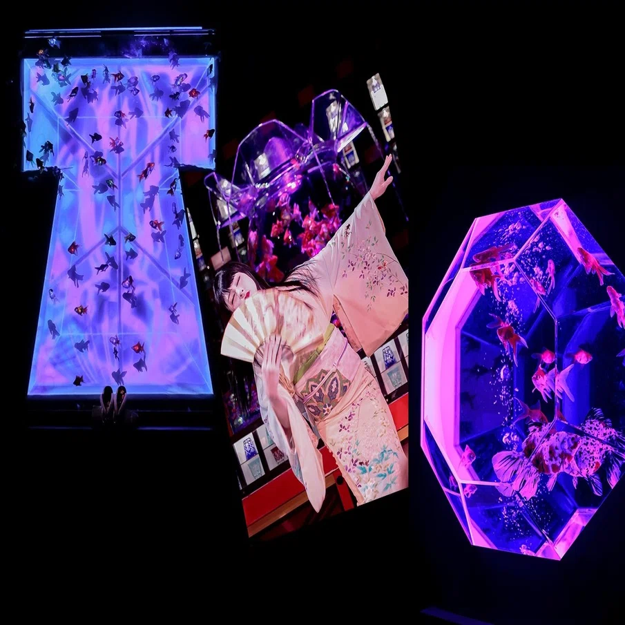 京都 アートアクアリウム城 でトリエンナーレな金魚の舞を撮影 ヒコノート Note