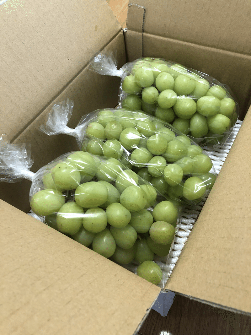 育児と してはいけない 育休中のふるさと納税 成川献太 なるけん Note