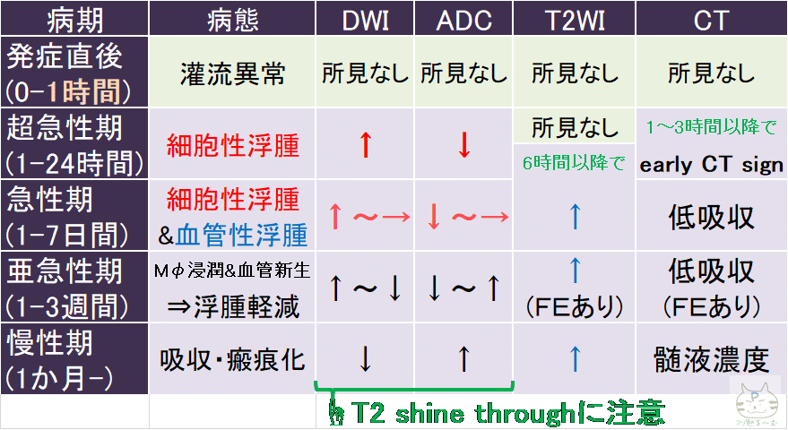 脳梗塞の画像所見 ぷーオリジナル