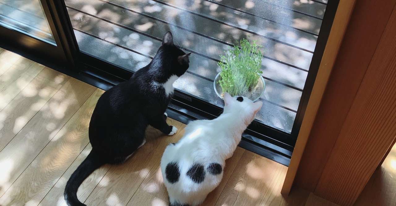 あの写真が教えてくれたこと 公務員時代の話 にゃお Note