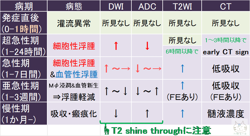 発症時間が推定できる 脳梗塞の画像所見 Ct Mri 循環器drぷー Note