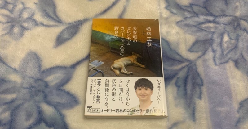 表参道のセレブ犬とカバーニャ要塞の野良犬 Junpei Morinaga Note 表参道のセレブ犬とカバーニャ要塞の野良犬 Junpei Morinaga Note