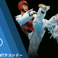 チェ・ホンヒ著 Taekwon-do 第五版 1999年 激レア-www.pictureitsolved.com