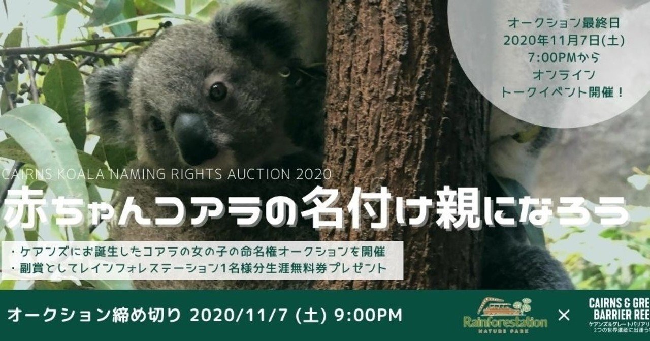 ケアンズコアラ ネーミングライツオークション 赤ちゃんコアラの名付け親になろう ケアンズ レインフォレステーション Note ケアンズコアラ ネーミングライツオークション 赤ちゃんコアラの名付け親になろう ケアンズ レインフォレステーション Note