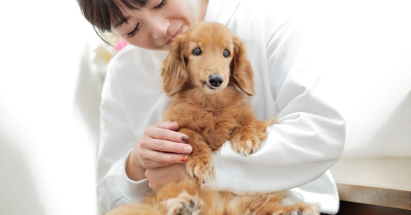 アポキル錠で下痢や嘔吐が起きる Yuka Note