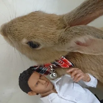 背文字で｢スキ｣と伝えたいウサギのポリアンナ🐰&音卯風矢 フォロバ100%