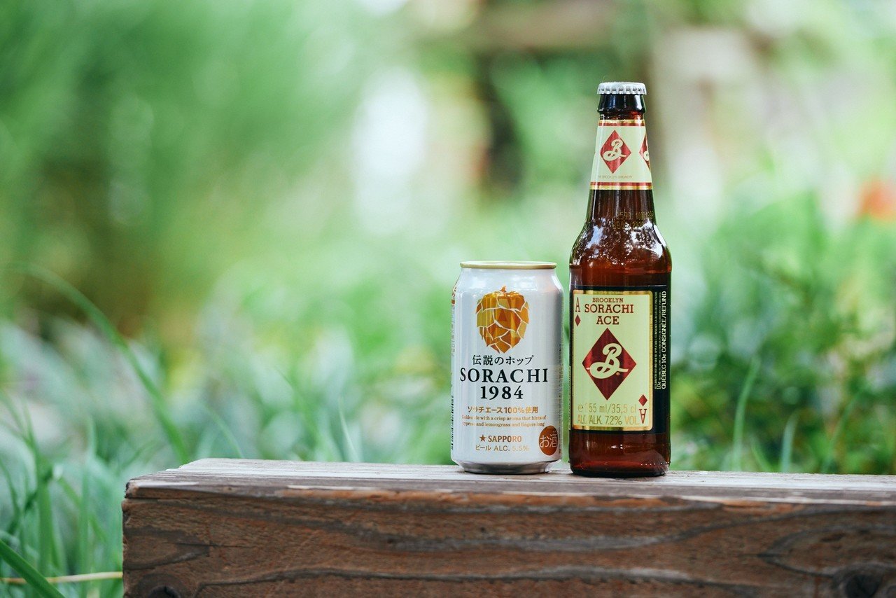 海外で花開いた北海道生まれのホップ「ソラチエース」が日本で返り咲く