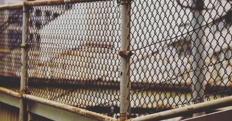 保護室 トラ箱 に2回入った経験者 人生無理子ちゃん 強度ｈｓｐ note