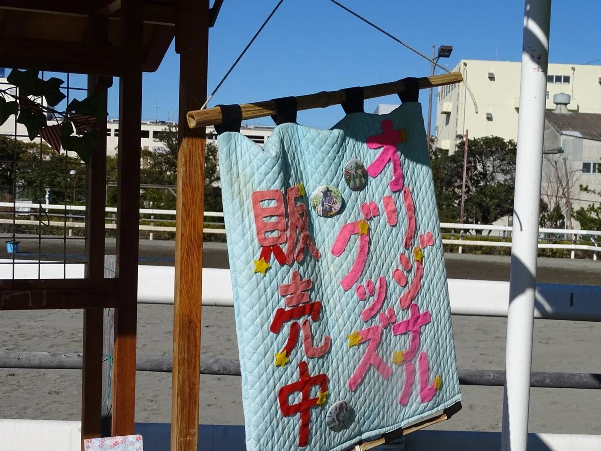画像7