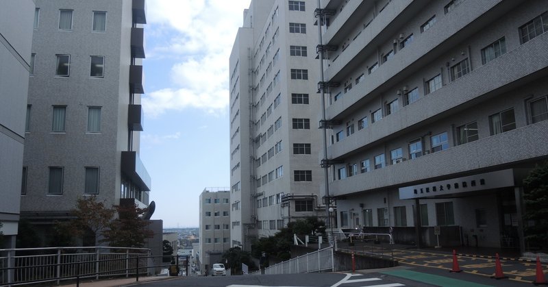 毛呂山町の紹介 埼玉医大 埼玉医科大学 とローソン前の池 夢ねずみ Note 毛呂山町の紹介 埼玉医大 埼玉医科大学 とローソン前の池 夢ねずみ Note