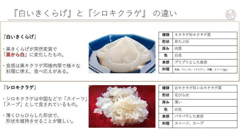 白いキクラゲ 結ファーム のはなし ネジキクラゲ Note