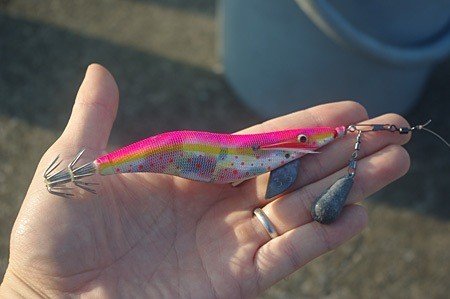 防波堤から餌木 エギ でタコを釣りたい 玉置標本 Note 防波堤から餌木 エギ でタコを釣りたい 玉置標本 Note