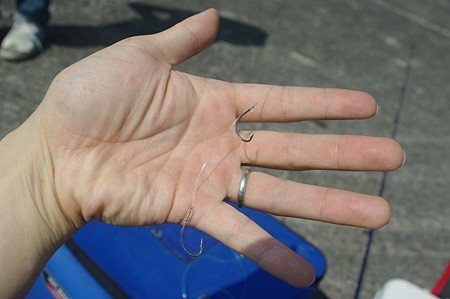 食べるためにウツボを釣りたい 玉置標本 Note