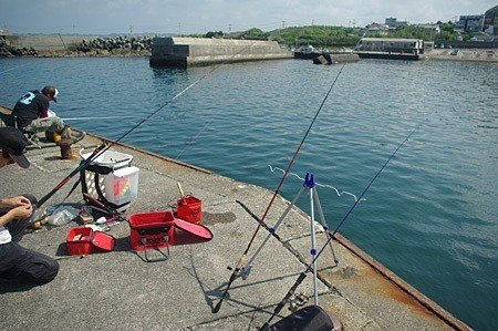 食べるためにウツボを釣りたい 玉置標本 Note