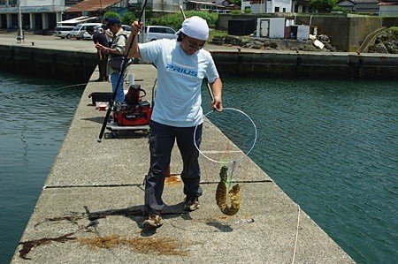 食べるためにウツボを釣りたい 玉置標本 Note