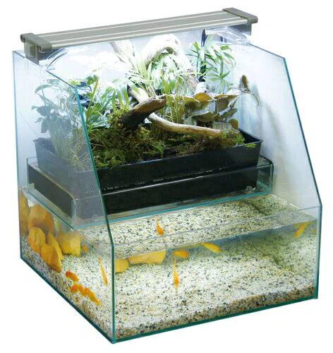 魚と植物が共存する水槽】レグラスポニックスが届きました| ハーブ大学生 魚と植物が共存する水槽】レグラスポニックスが届きました| ハーブ大学生