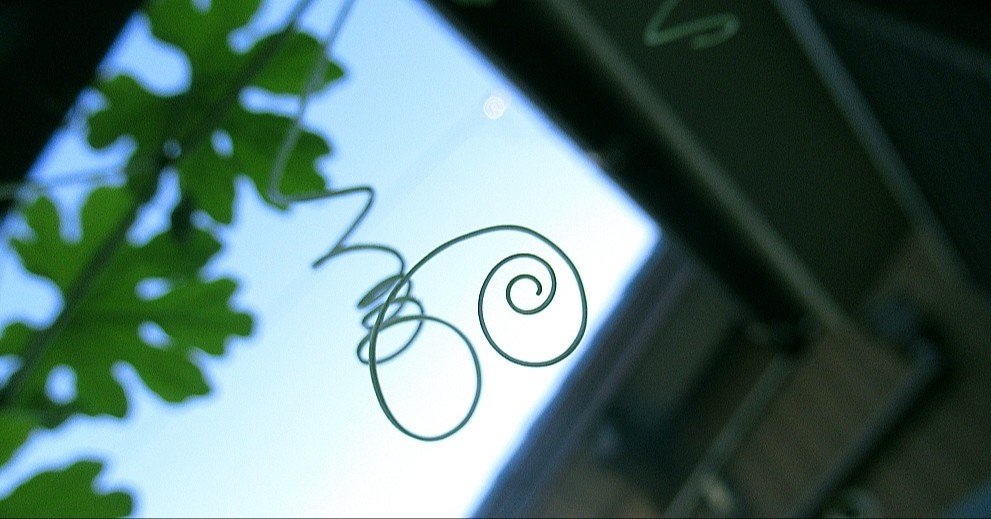 中条遺跡 土偶A 17：勾玉の渦巻紋｜山乃辺 時久