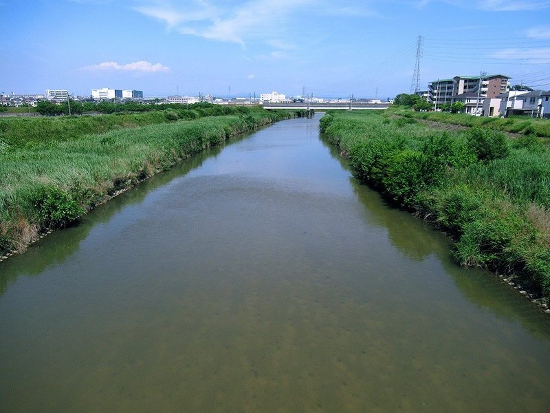 11逢妻川