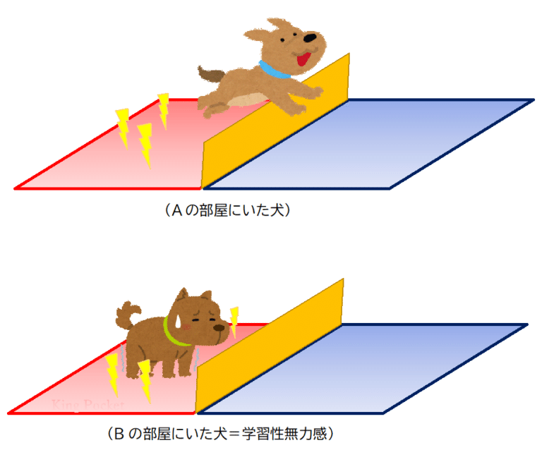 置かれた場所が嫌ならば 慶應義塾大学 競走部長距離ブロック 選手たちの軌跡 Note