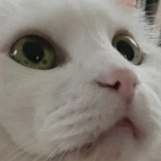 裏紙