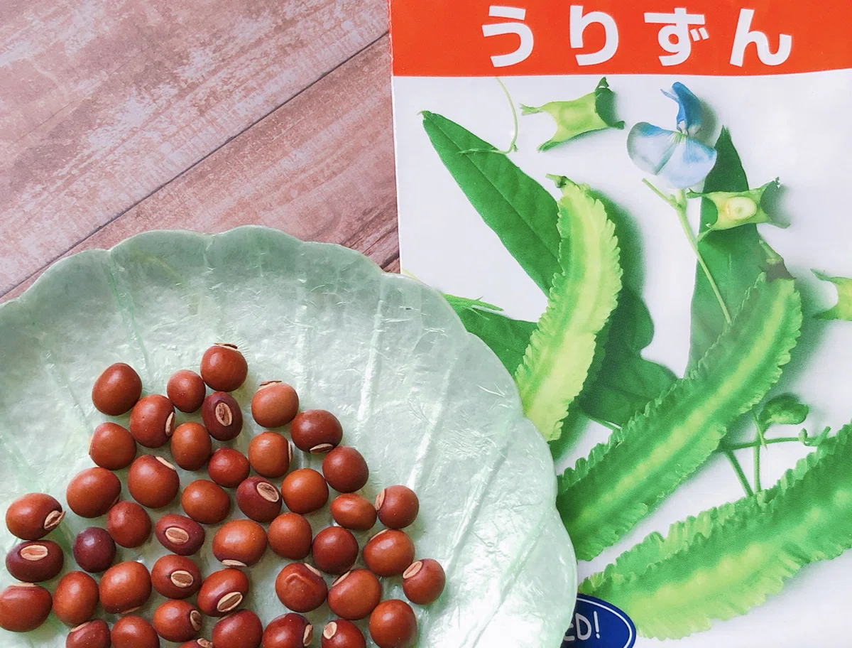 断面が魅力的?!沖縄島野菜うりずん|沖縄料理研究家 宮澤かおる