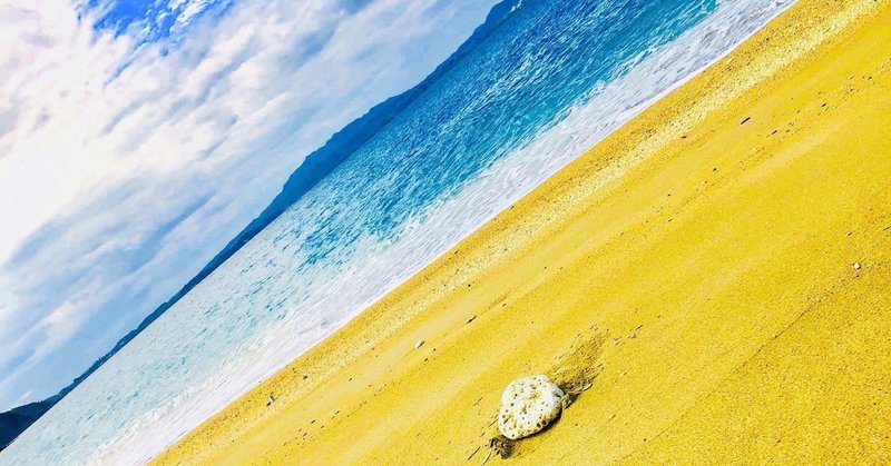 運気をあげる の新着タグ記事一覧 Note つくる つながる とどける