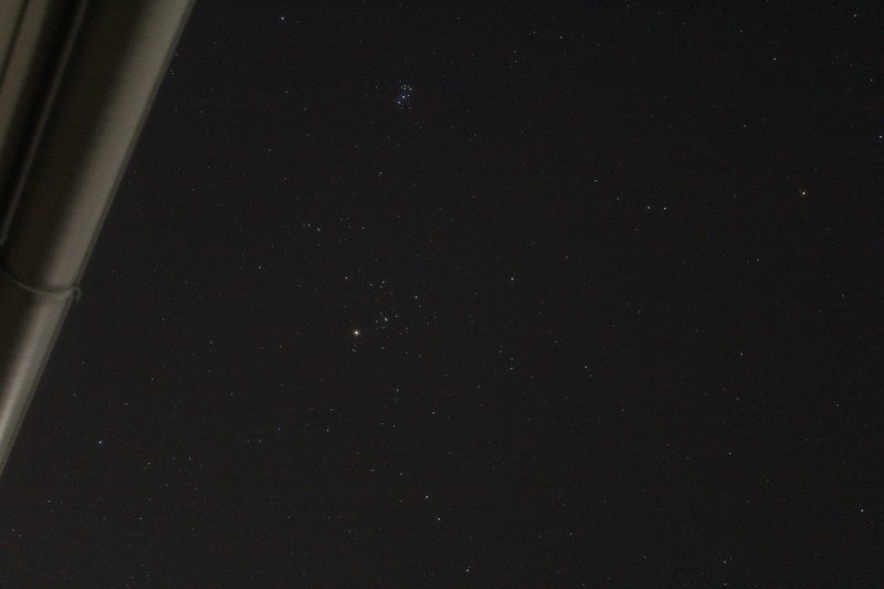 たまに星を見ている 火星とオリオン座 金星とシリウス クジラ Note