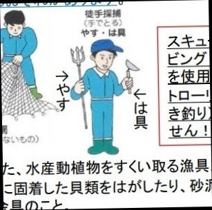 京都府は魚突き禁止なのに竹ヤスが売られている しまこ Note