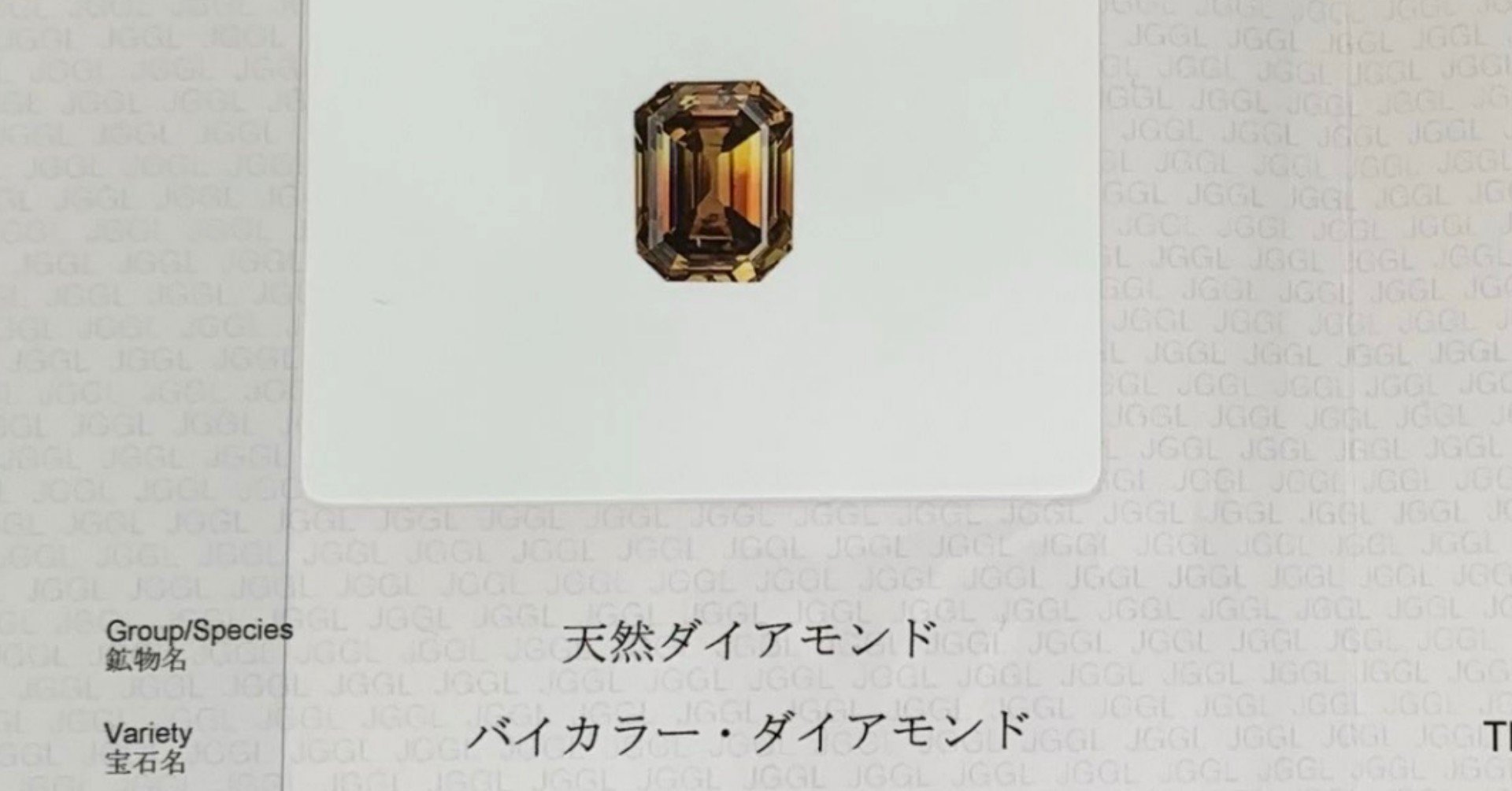 バイカラーダイヤモンドとの邂逅〜後編〜｜わいたろう
