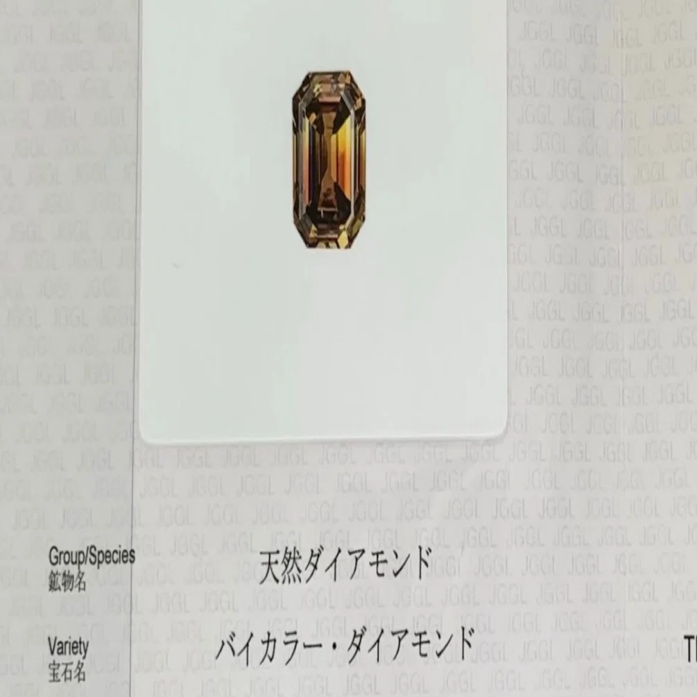 バイカラーダイヤモンドとの邂逅〜後編〜｜わいたろう