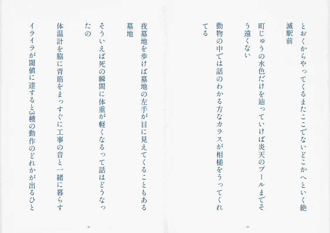 画像15